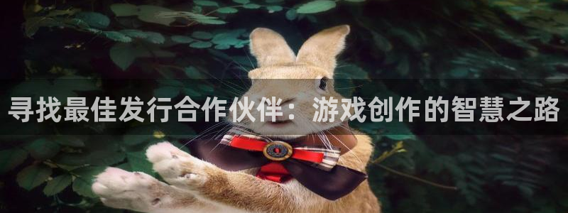 pp电子集团公司怎么样：寻找最佳发行合作伙伴：游戏创作的智慧之路