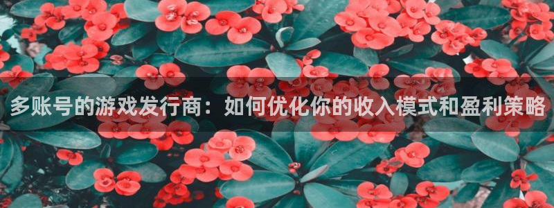 pp电子官网客服招聘：多账号的游戏发行商：如何优化你的收入模式和盈利策略