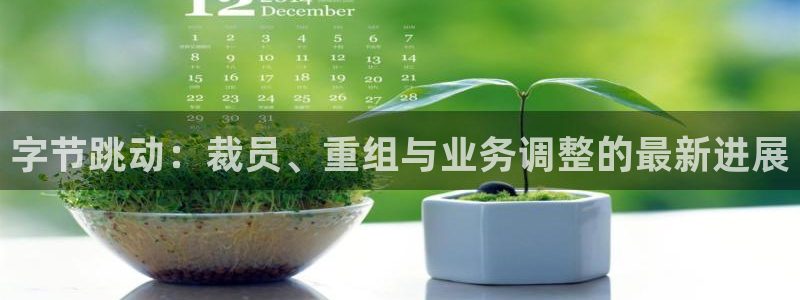 广东pp电子电子商务有限公司：字节跳动：裁员、重组与业务调整的最新进展