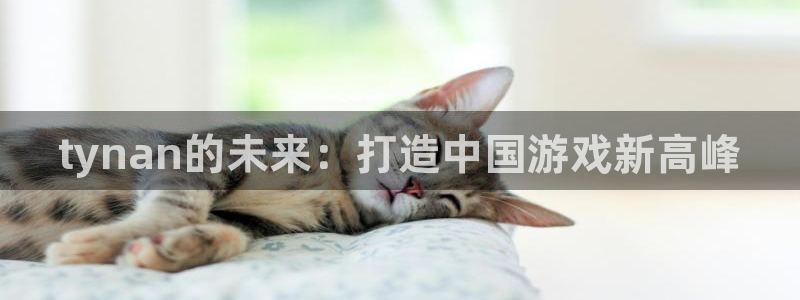 广州pp电子网络科技有限公司怎么样：tynan的未来：打造中国游戏新高峰
