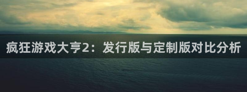 pp电子子出版社：疯狂游戏大亨2：发行版与定制版对比分析