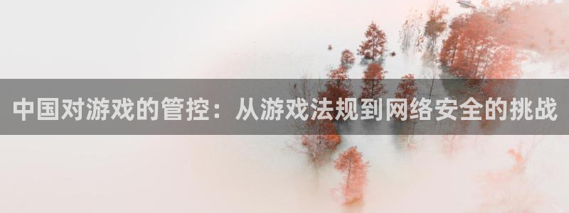 pp电子子音乐