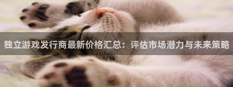 pp电子官网骗局是真的吗：独立游戏发行商最新价格汇总：评估市场潜力与未来策略
