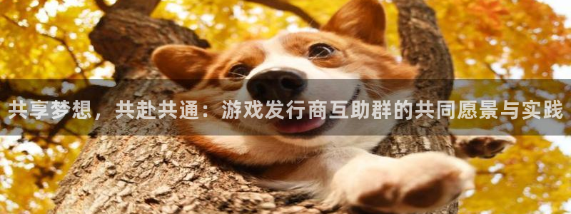 pp电子子文化：共享梦想，共赴共通：游戏发行商互助群的共同愿景与实践