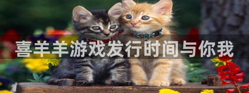 pp电子品牌策划团队介绍