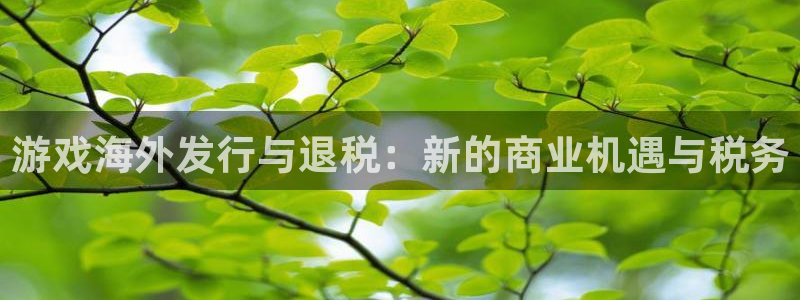 pp电子红酒怎么样：游戏海外发行与退税：新的商业机遇与税务