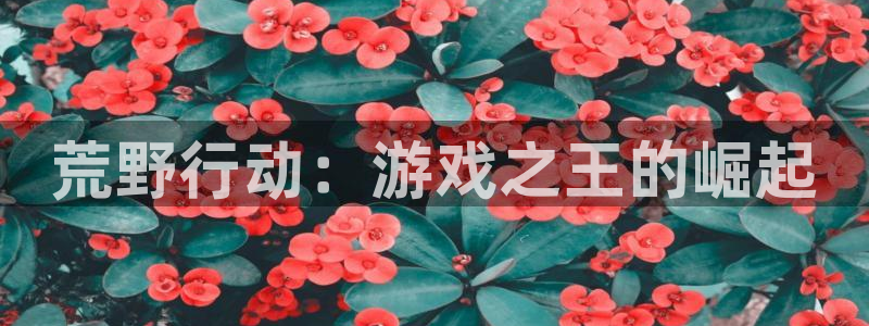 pp电子官网客服怎么样