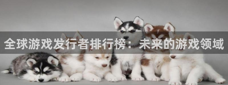 pp电子子年度最佳图书