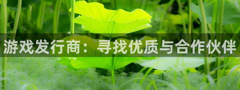 pp电子子代表什么意思
