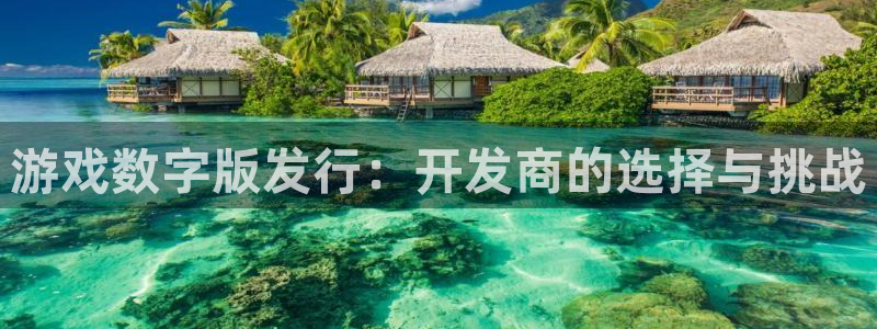 pp电子集团有限公司