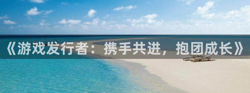 pp电子子猫图片：《游戏发行者：携手共进，抱团成长》