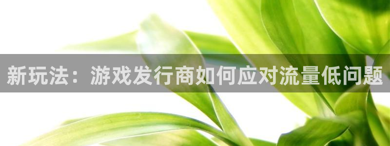 pp电子电子商务有限公司电话：新玩法：游戏发行商如何应对流量低问题
