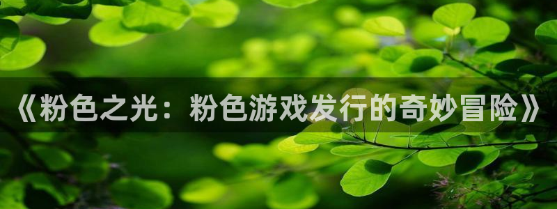 pp电子子出版社：《粉色之光：粉色游戏发行的奇妙冒险》