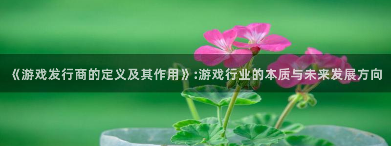 pp电子官网登录注册不了账号